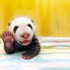 5c8adcd322000031001a02b9