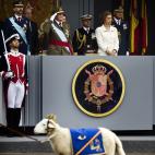 5c8adcd4230000dd0423d76b