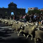 5c8adcda2400000a05a3d27e