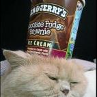 5c8adcdb20000043046fe1b9