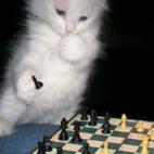 5c8adcdb2000009d036fe1bb