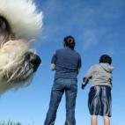 5c8adcdc360000c81a6c337c