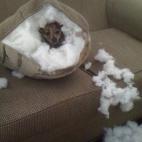 5c8adcdd3b000072066cb472