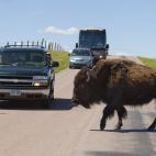 5c8adcde240000f404a3d280