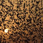 5c8adcde3b000002076cb474