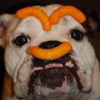 5c8adcdf3b000070066cb476