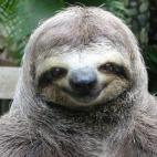 5c8adce02400006c05a3d286