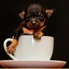 5c8adce222000033001a02c5