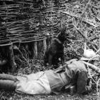 5c8a72f5360000ba1a6b7d58