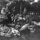 5c8a72f82300000401231e2f