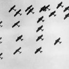 5c8a72fa360000c81a6b7d62