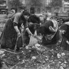 5c8a72fb2500005806812861