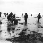 5c8a73043b000054066bfea1