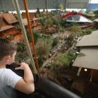 5c8ade4a2400004205a3d4af