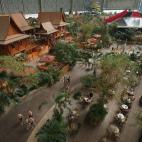 5c8ade4c360000c81a6c358d