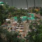 5c8ade4e3b000070066cb68d