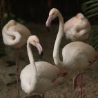 5c8ade502500000d04c9c93d