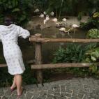 5c8ade50230000d50423d97d