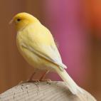 5c8ade512300005400e750a4