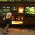 5c8ade522300005300e750a6