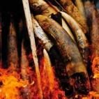 5c8a59a3250000bd05810a1a