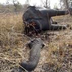 5c8a59a33b000070066be049