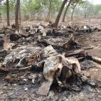 5c8a59a4230000040122ff2a