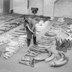 5c8a59a42500005806810a1e