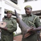 5c8a59a5260000e804fe3e00