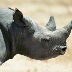 5c8a59a52400006b054bc08b