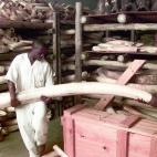 5c8a59a6230000040122ff30