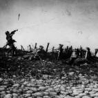 5c8a730d2000009d036f2b9c