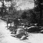 5c8a730e2000009e046f2b9e