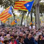 5c8a3e80230000040122d924