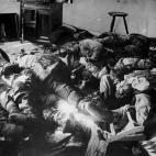 5c8a7313230000d504231e5e