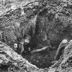 5c8a7318240000f404a31860