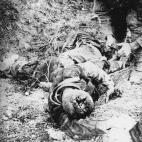 5c8a731b230000d504231e65