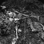 5c8a731c2500001304c90ed3