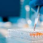 "Los poderes p&uacute;blicos promover&aacute;n la ciencia y la investigaci&oacute;n cient&iacute;fica y t&eacute;cnica en beneficio del inter&eacute;s general". Aunque este Gobierno ha tratado de aliviar la situaci&oacute;n de la ciencia con la ...