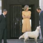 5c8ae0bf2500001304c9cce7