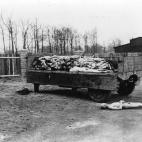 5c8a48673b000072066bc86f