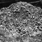 5c8a48673b000037066bc871