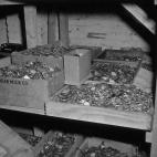 5c8a4869360000ba1a6b4624