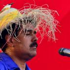 5c8ae4ae3b000054066cbf61