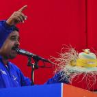 5c8ae4af230000d50423e276