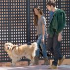 5c8a3654230000dd0422d0e3