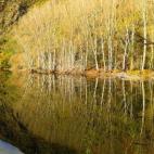 De Gema Rodríguez Agüero