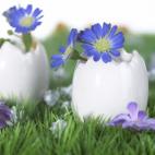 Se estudia, por ejemplo, las actividades de riego, abonado y tratamientos en cultivos, las operaciones auxiliares de preparación del terreno, plantación y siembra de cultivos, operaciones básicas en instalación de jardines, parques y zonas v...