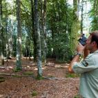 Algunas salidas: Peón forestal, peón agropecuario, peón en cultivos herbáceos, peón de jardinería...
