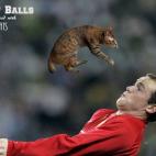 Wayne Rooney, Liverpool